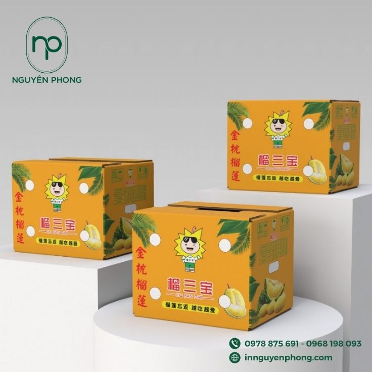 In thùng carton đựng sầu riêng tại TP.HCM bền đẹp